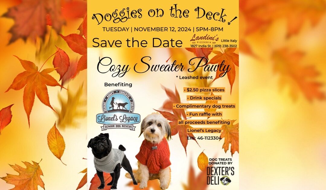 DOGGIES ON THE DECK! NOVEMBER 12, 2024!